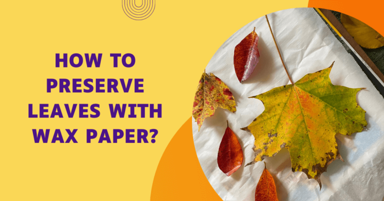 How to preserve leaves with wax paper?